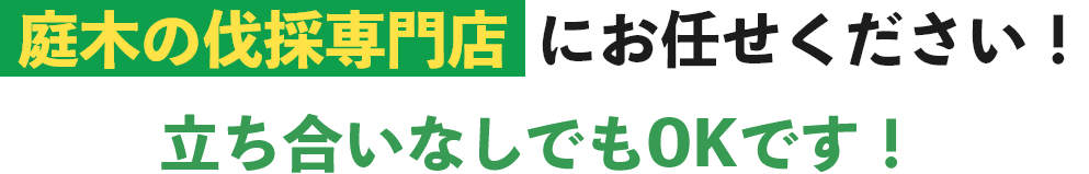 庭木の伐採専門店にお任せください！立ち合いなしでもOKです！