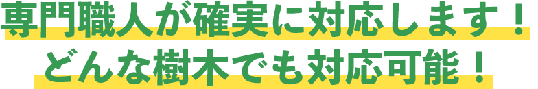 専門職人が確実に対応します！どんな樹木でも対応可能！