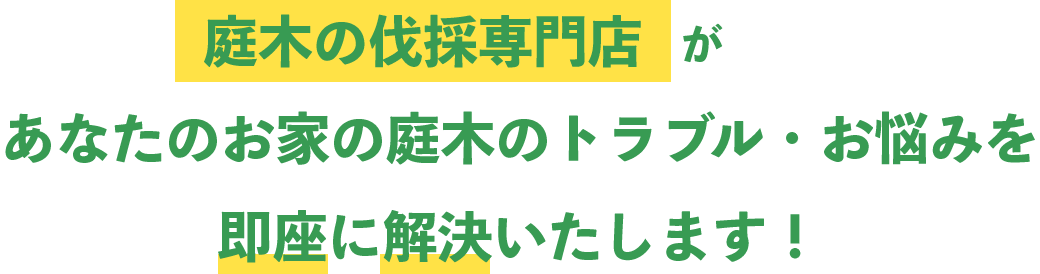 庭木の伐採専門店があなたのお家の庭木のトラブル・お悩みを即座に解決いたします！