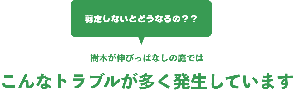 剪定しないとどうなるの？樹木が伸びっぱなしの庭ではこんなトラブルが多く発生しています