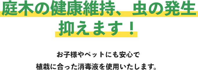 庭木の健康維持、虫の発生抑えます！私たちは伐採の専門店です。確かな実績でリピーター多数！