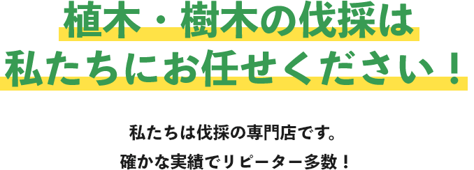 植木・樹木の伐採は私たちにお任せください！私たちは伐採の専門店です。確かな実績でリピーター多数！