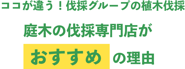 ココが違う！伐採グループの植木伐採 庭木の伐採専門店がおすすめの理由