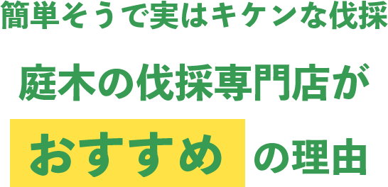 簡単そうで実はキケンな伐採庭木の伐採専門店がおすすめの理由