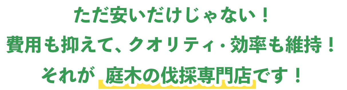 ただ安いだけじゃない！費用も抑え、クオリティ・効率も維持！それが庭木の伐採専門店です！