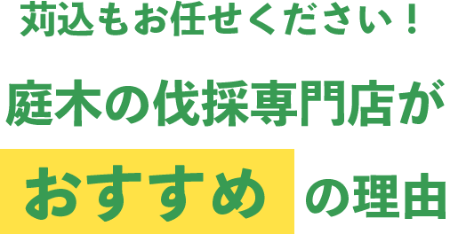 苅込もお任せ下さい！庭木の伐採専門店がおすすめの理由