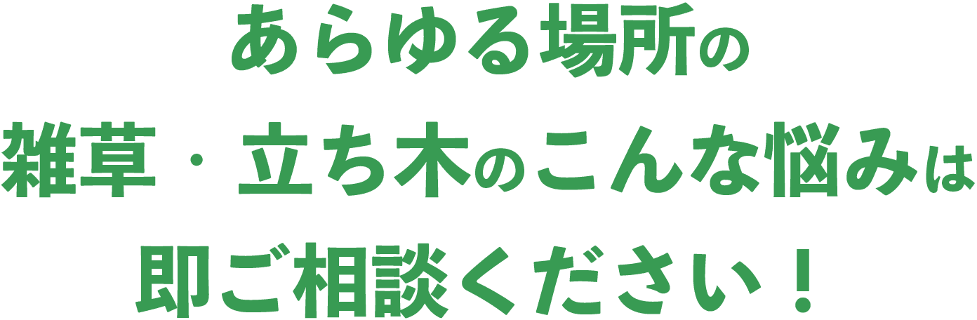 あらゆる場所の雑草・立ち木のこんな悩みは即ご相談ください！