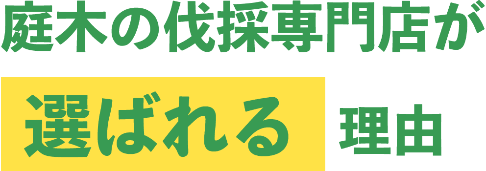 庭木の伐採専門店が選ばれる理由