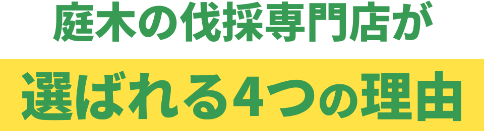 庭木の伐採専門店が選ばれる理由